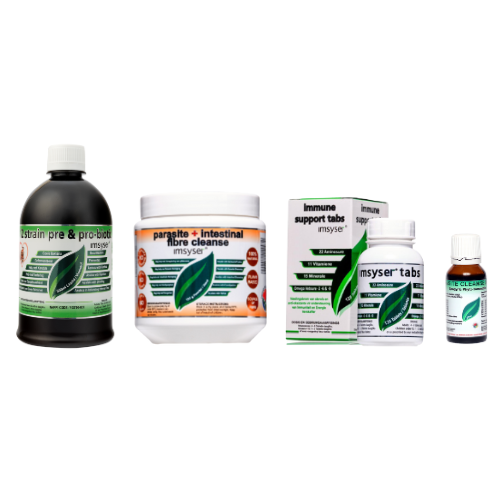 Parasite Cleansing: A Practical Guide to Supporting Your Body