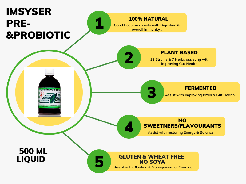 Gut Health & Probiotics: What You Need to Know