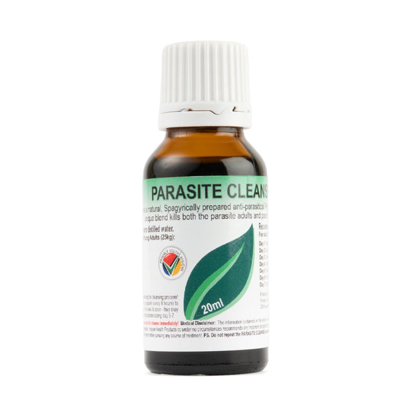 How to Do a Parasite Cleanse: A Beginner's Guide