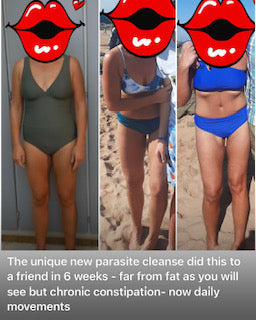 Where Parasite Cleansing Makes Its Mark: Why It's a Critical Step in Health Management at Every Age