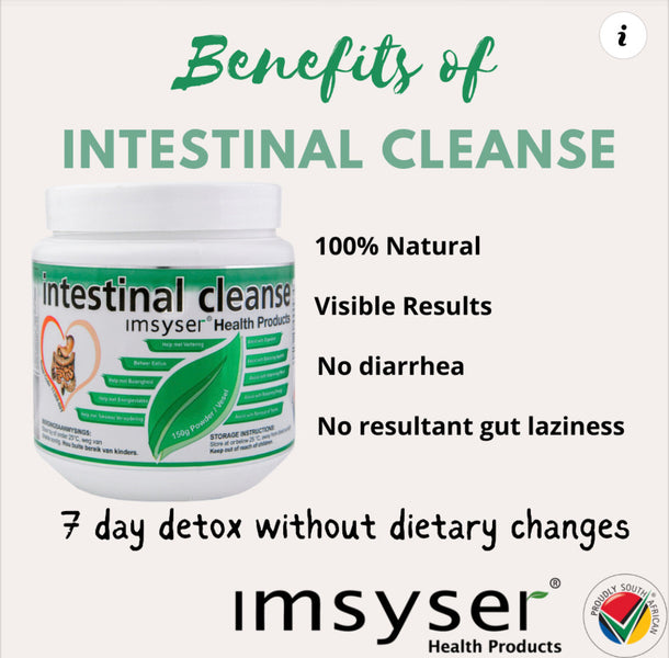 What Is a Parasite Cleanse? A Practical Guide to Supporting Your Body Naturally